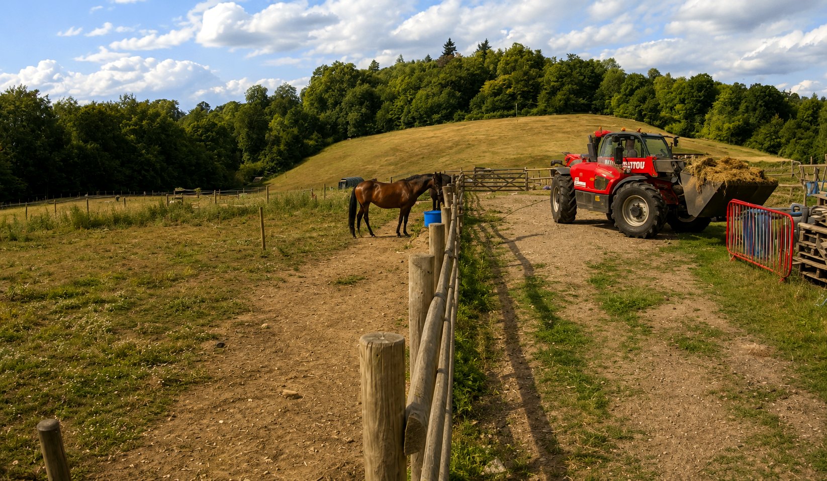 The paddocks and learning environment at the Wild Minds Farm Campus
