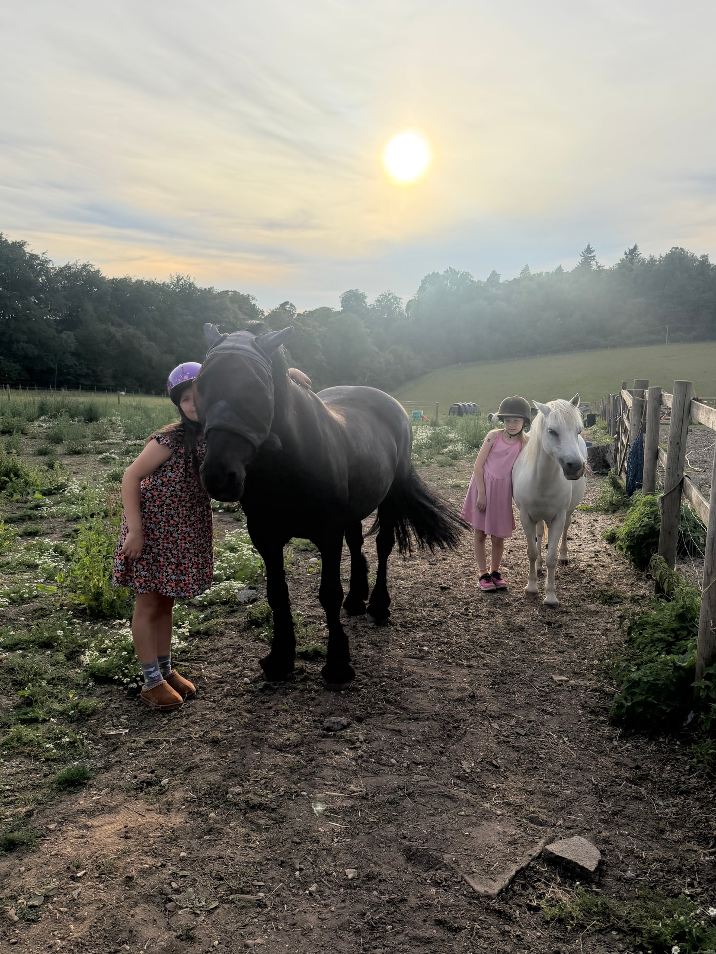 Two children wearing riding hats standing beside a black pony wearing a fly mask and a white pony on a dirt path