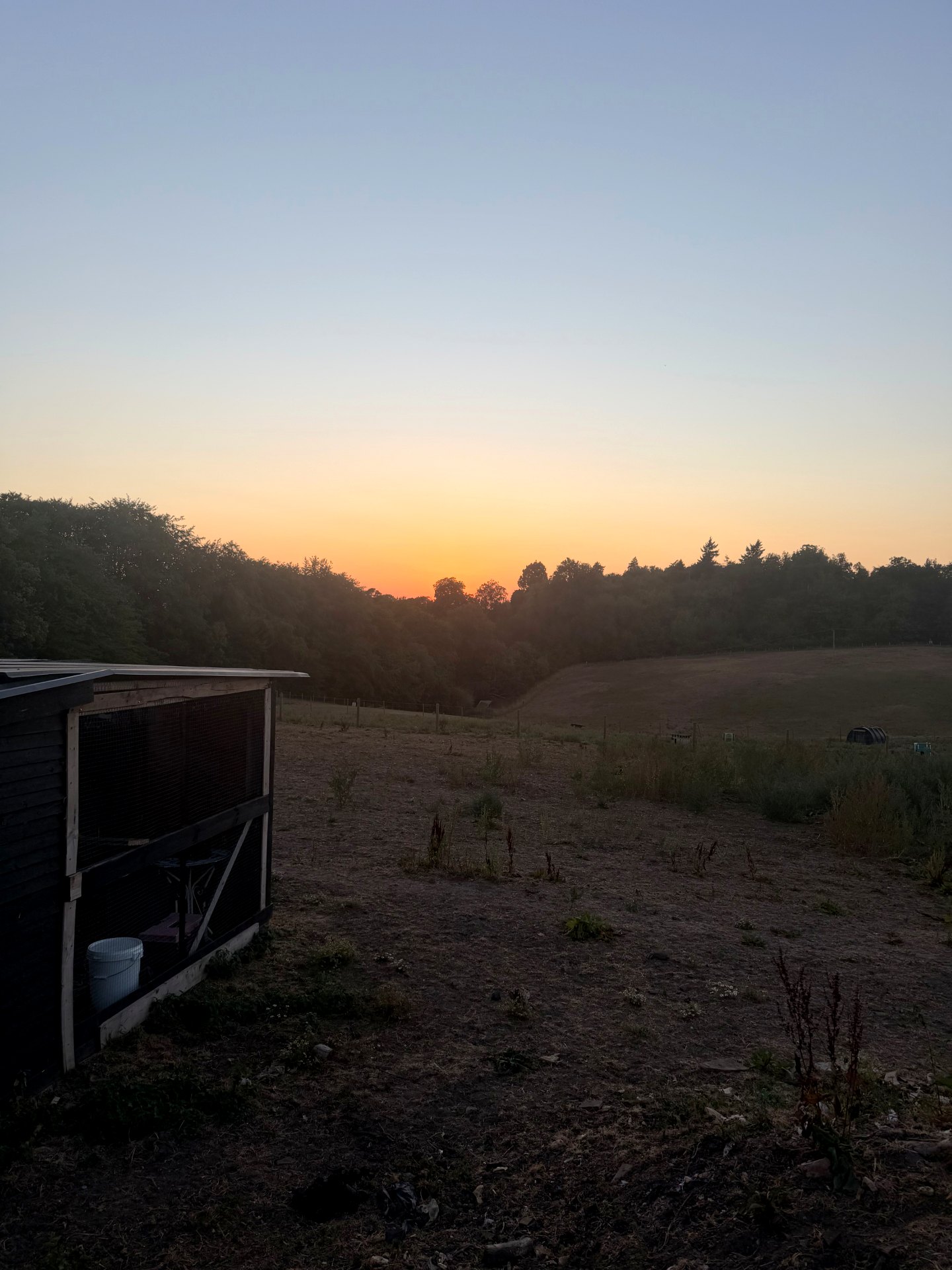 Sunset over the fields at the Wild Minds Farm Campus