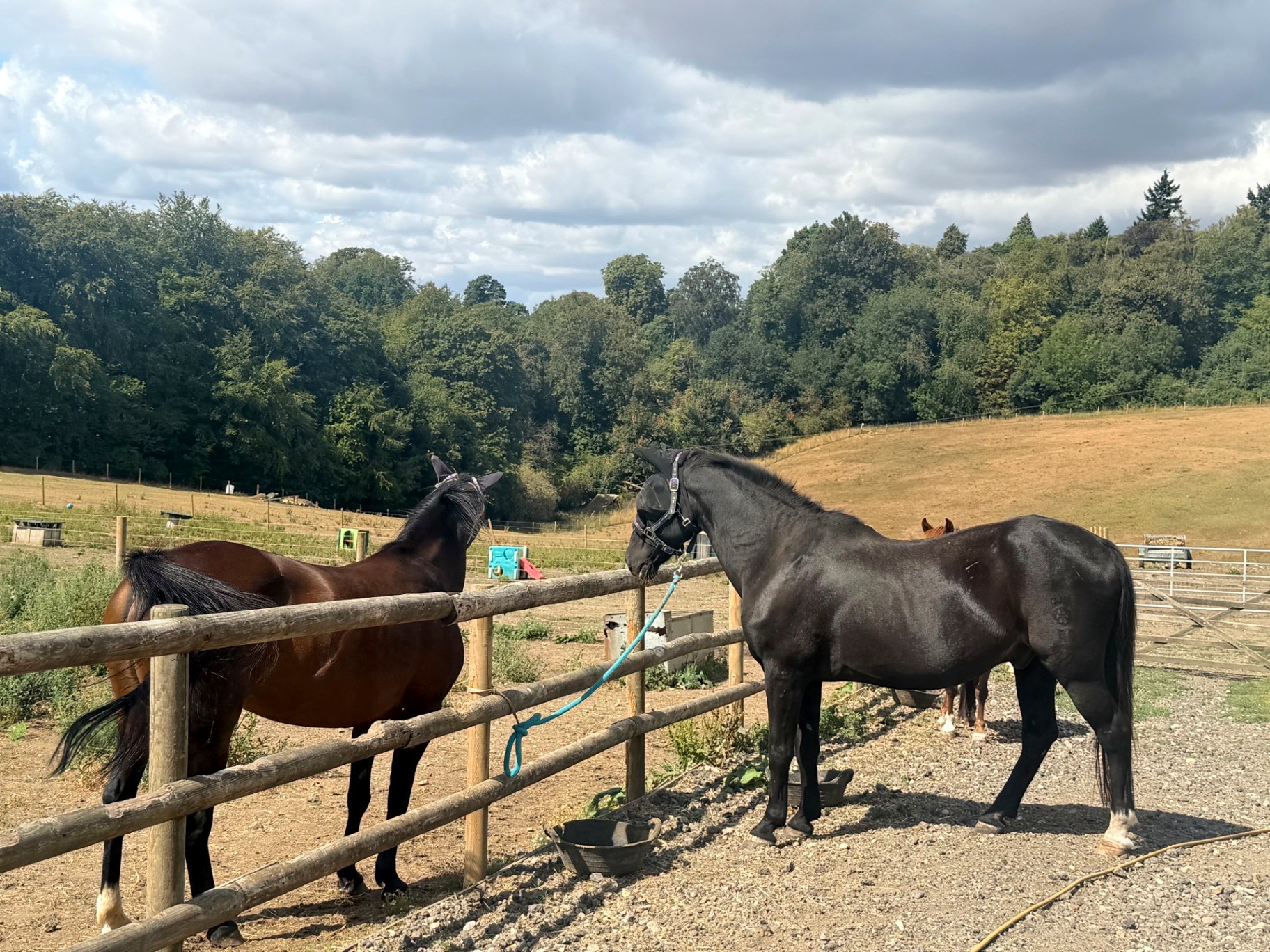 The Farm Campus, Wild Minds Alternative Provision