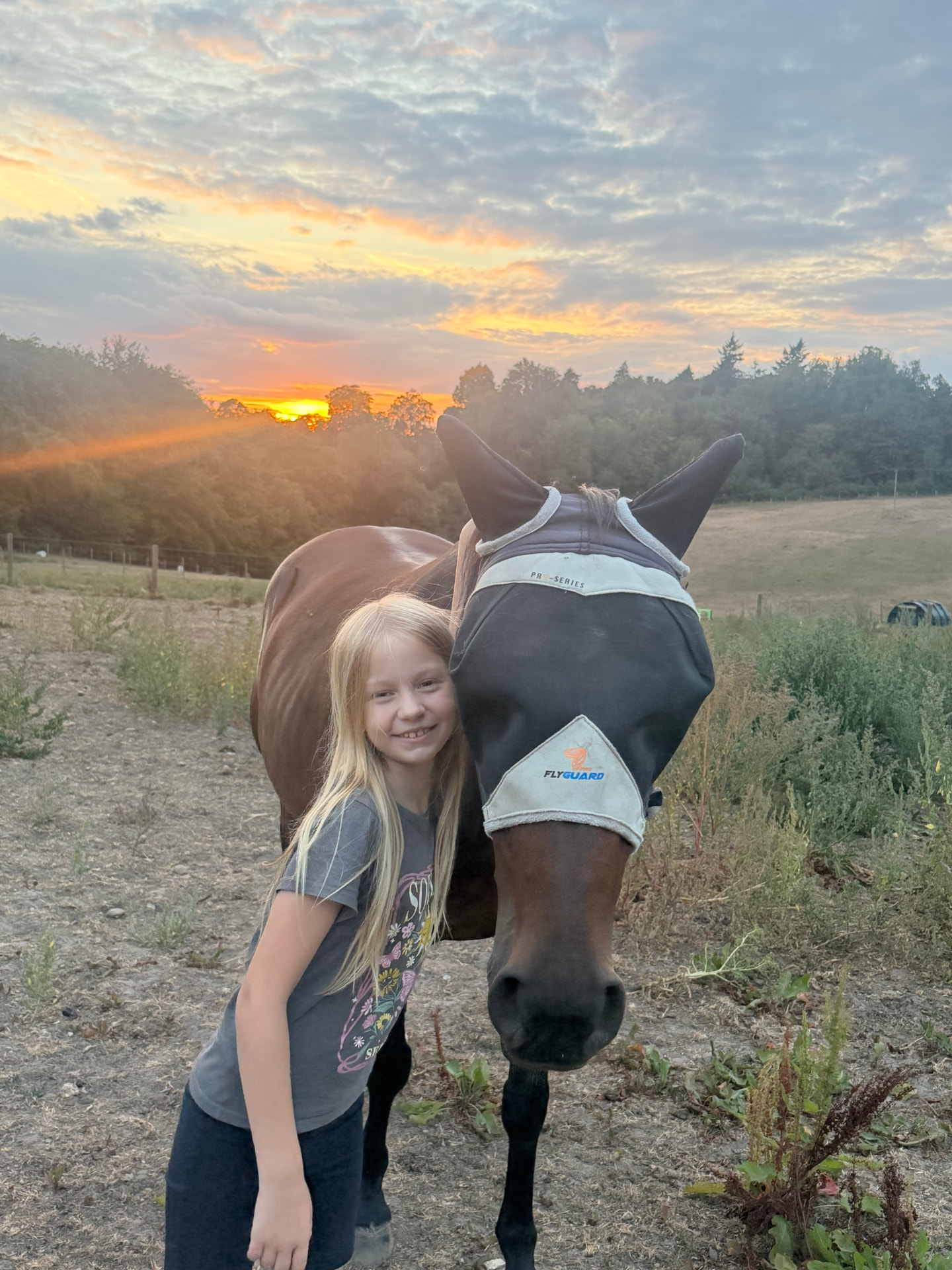 A child leaning against a bay horse wearing a fly mask in a field, with the sun setting behind trees